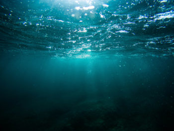 Scopri di più sull'articolo wunderwasser, meraviglie subacquee a Palazzo Siotto